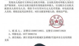 缅北最新爆料消息视频播放,视频曝光惊人内幕