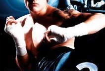 搏击之王在线观看,热血激战，巅峰对决