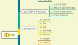 甜瓜跑步爆料视频大全集,运动风采尽收眼底