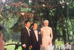撒贝宁热点爆料视频,热点事件背后的惊人真相