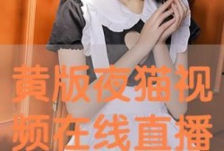 夜猫在线观看,揭秘深夜网络世界的魅力与挑战