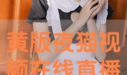 夜猫在线观看,揭秘深夜网络世界的魅力与挑战