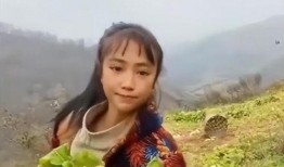 灵儿被爆料视频大全集,揭秘网络红人的真实生活