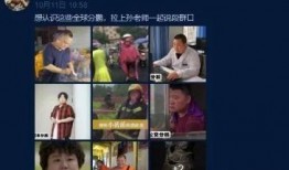 火腿爆料事件视频大全最新,揭秘网络热点背后的真相与争议