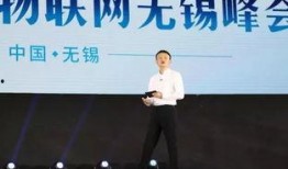 马云最新爆料完整视频,揭秘商业帝国背后故事与未来趋势