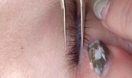 爆料纹眉视频教程全集,从新手到大师的蜕变之路