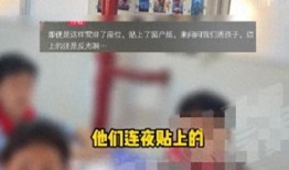中单小学爆料事件视频大全