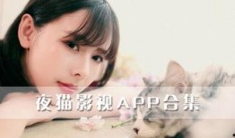 夜猫在线观看,揭秘深夜网络世界的魅力与挑战