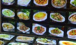 凌源美食爆料视频大全下载,视频大全带你领略地方风味