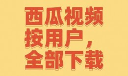 致远食堂爆料视频大全下载,揭秘校园美食背后的故事