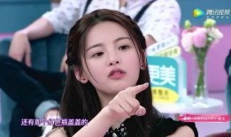 台湾节目爆料雪梨的视频,揭秘背后惊人真相
