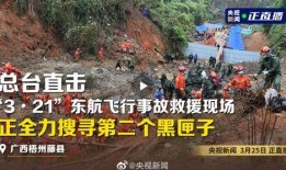 饶平爆料违建事件最新消息,官方调查与整改措施同步进行