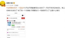 爆料网红砍价视频播放下载,播放下载量惊人揭秘