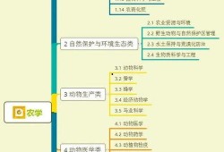 七仔粉丝爆料视频大全集,揭秘幕后故事与精彩瞬间