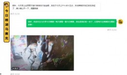 网上的视频是怎么爆料的,事件背后惊人内幕曝光