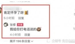 娱乐圈吃瓜爆料文件新版,揭秘明星幕后真相与情感纠葛