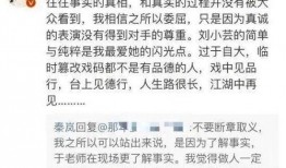 爆料娱乐圈模板怎么写,揭秘明星背后的惊人真相！