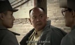 老司令视频在线观看,揭秘传奇将领的戎马生涯