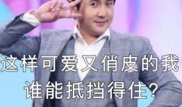 沈腾爆料王彦霖视频全集,视频全集笑料连连