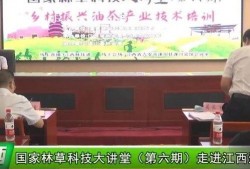 最新茶叶爆料新闻,神秘新品亮相，传统茶文化焕发新活力